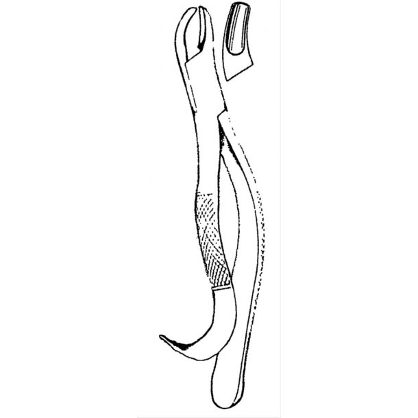 Canine Molar Extracting Forceps
