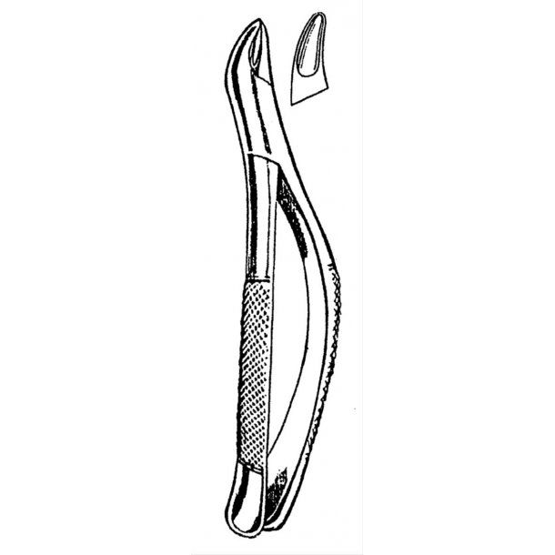 Canine Incisors and Bicuspid Extracting Forceps